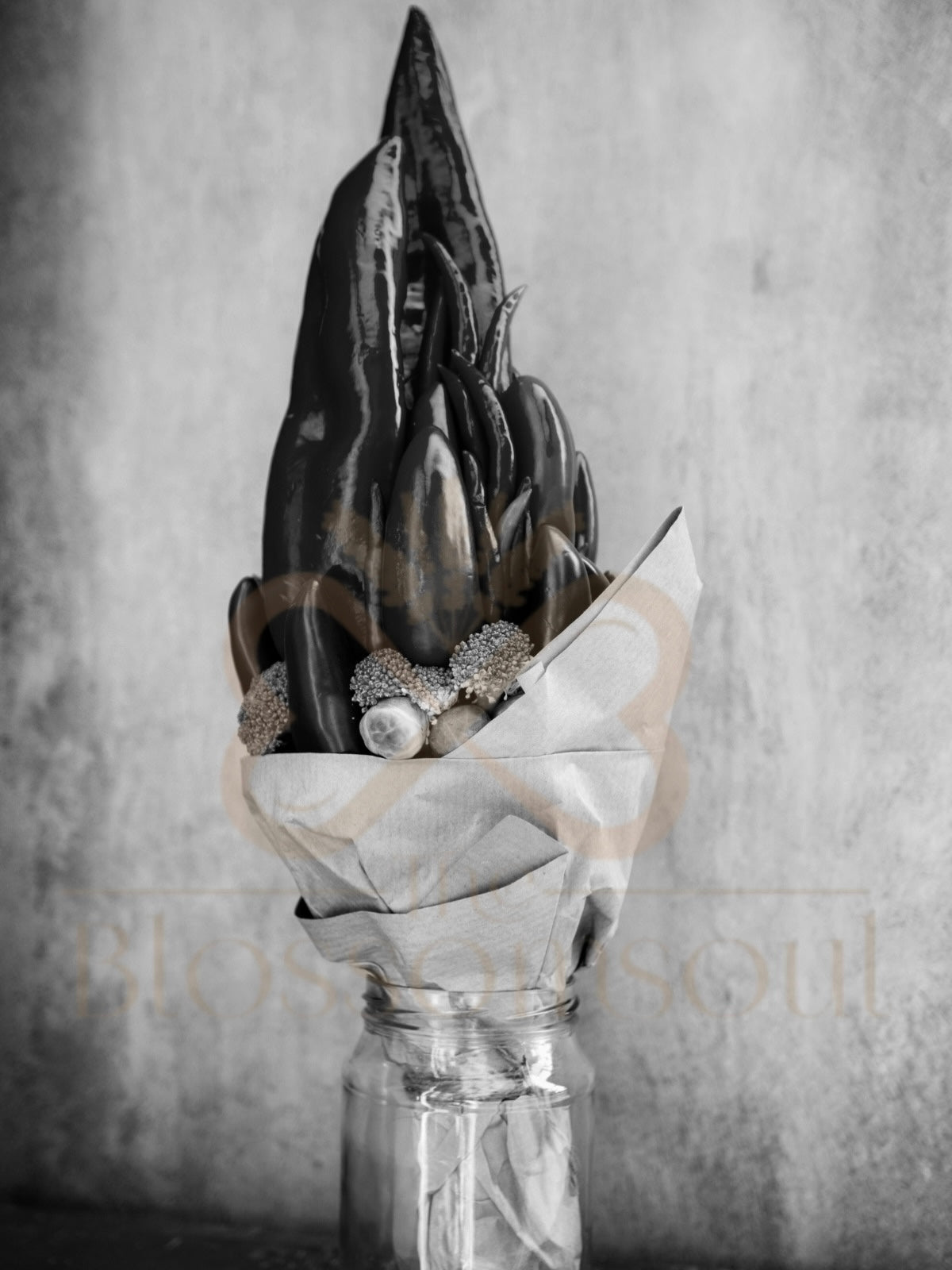 Capsicum Monochrome Artwork
