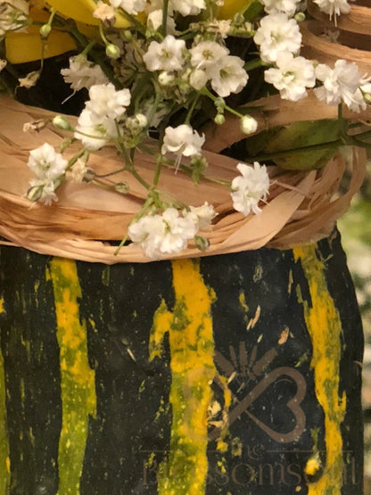 Green Pumpkin Artwork