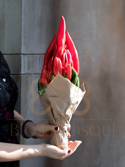 Red Capsicum Artwork