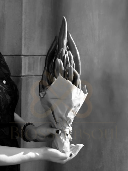 Capsicum Monochrome Artwork