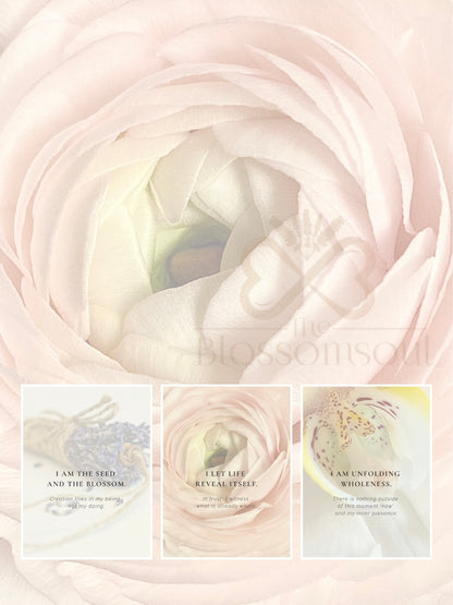 Glow-Up Floral Reflection Cards