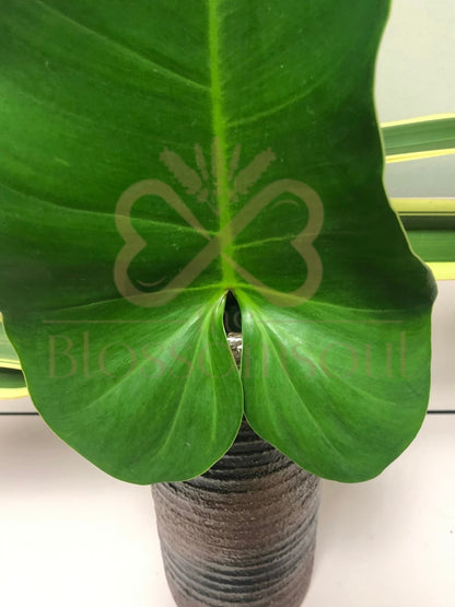 Attacher III Japanese Artwork