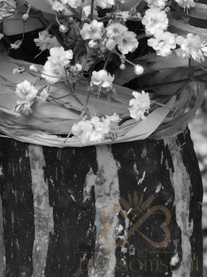 Pumpkin Monochrome Artwork