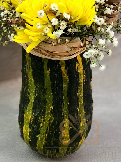 Green Pumpkin Artwork