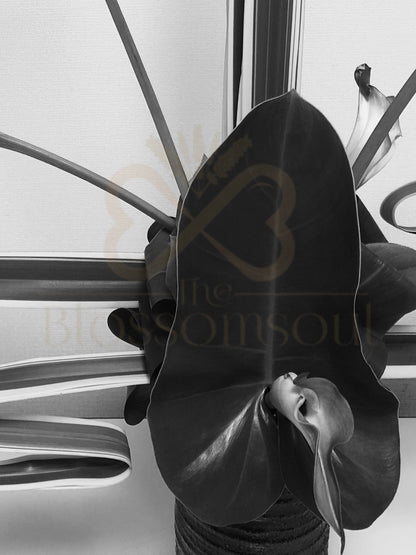 Attacher III Japanese Monochrome Artwork