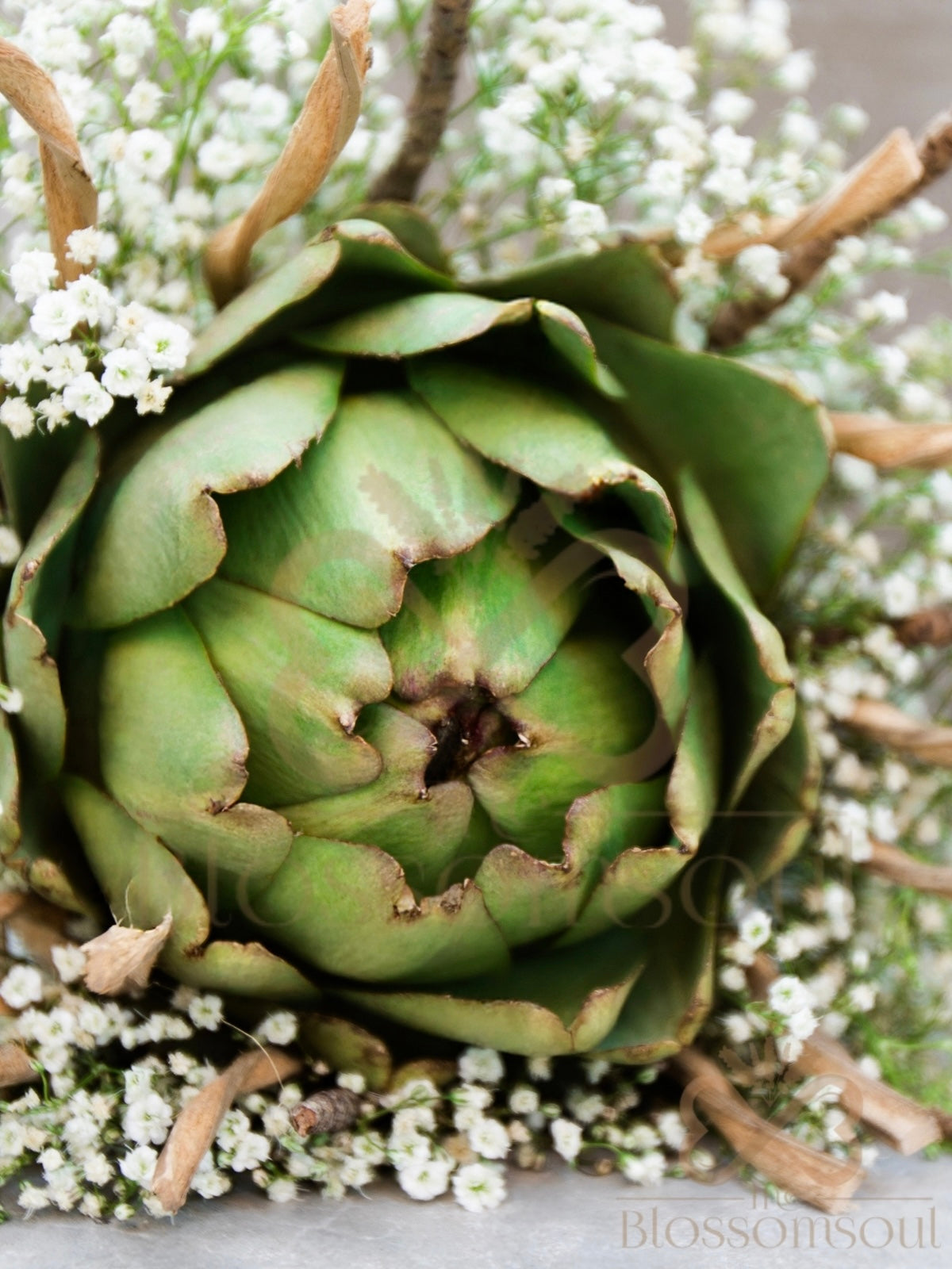 Artichoke Artwork