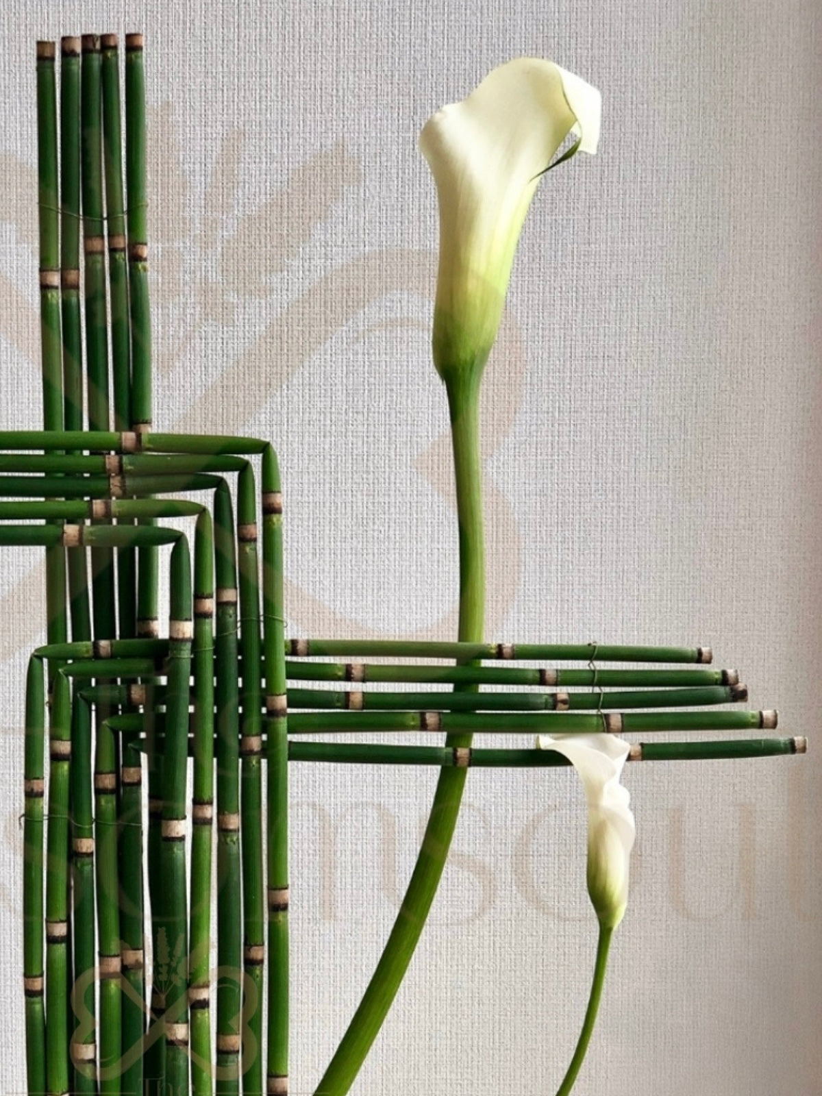 Attacher I | Japanese Modern Floral Design | Digital Artwork Limited Edition