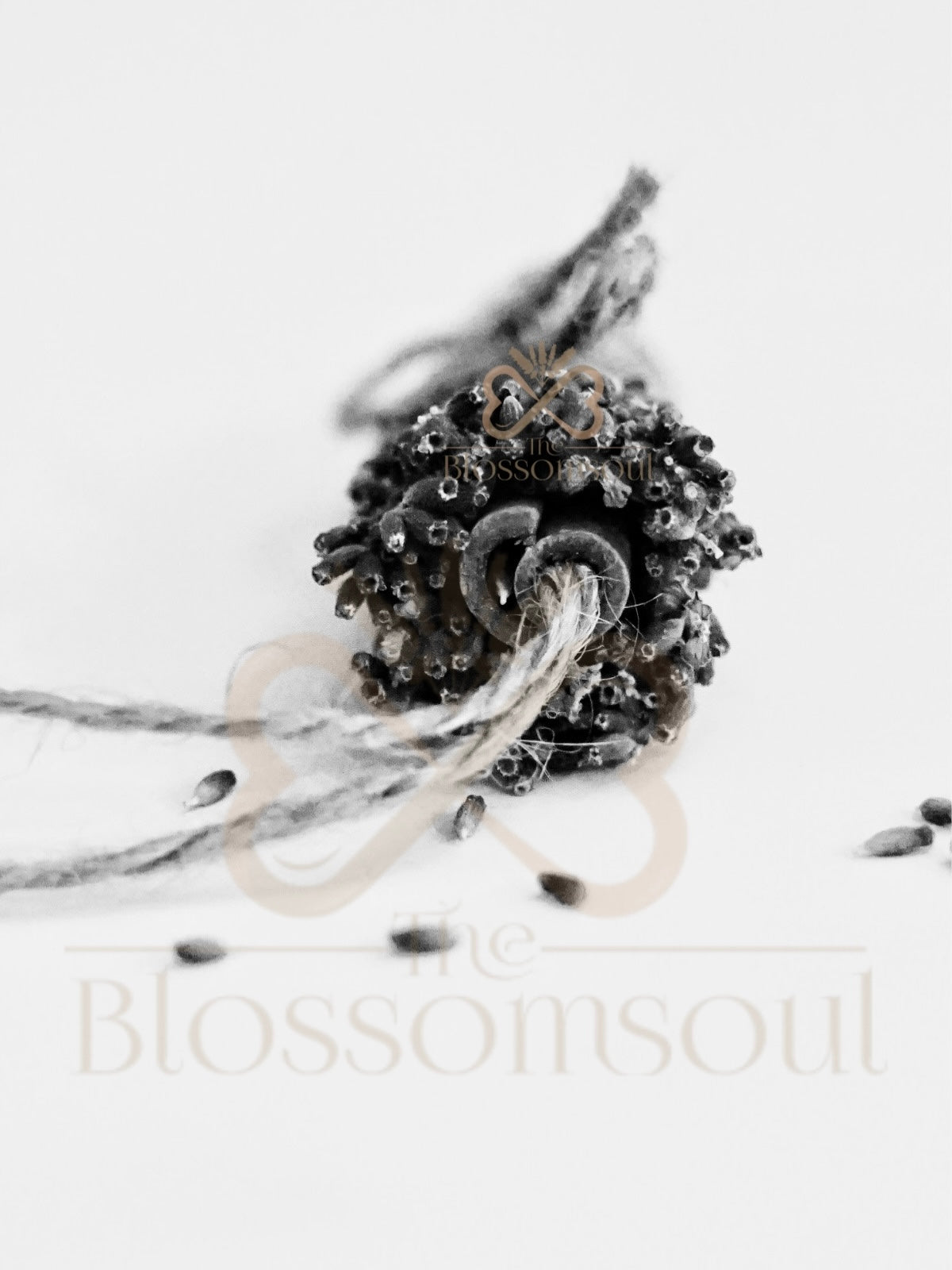 Lavender Cinnamon Monochrome Artwork