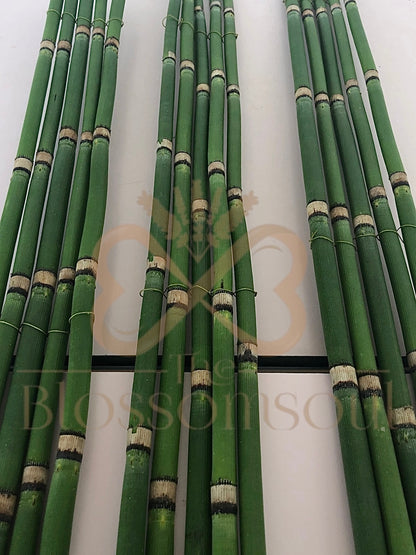 Attacher I Japanese Artwork