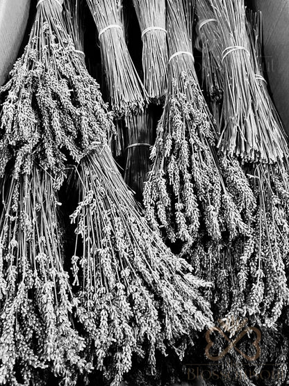 Lavender Cinnamon Monochrome Artwork