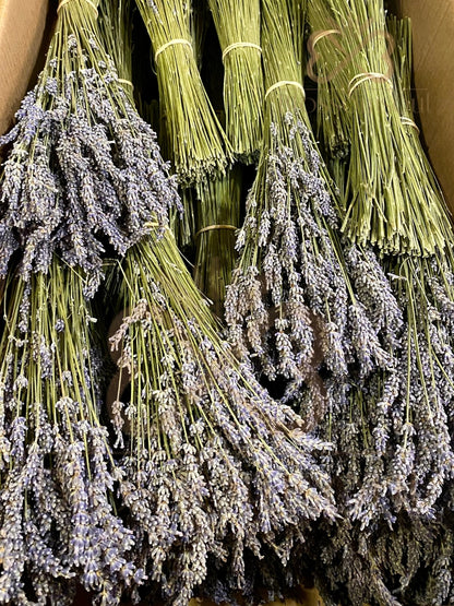 Lavender Cinnamon Artwork