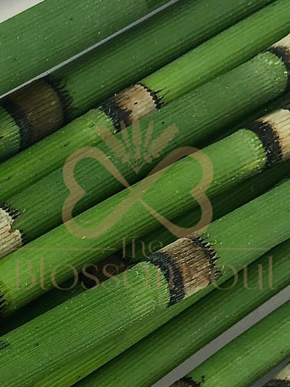 Attacher I Japanese Artwork