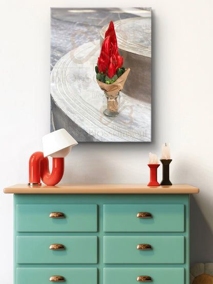 Red Capsicum Artwork