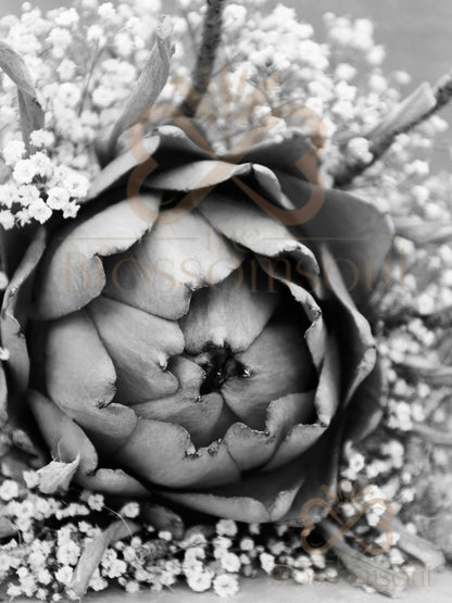 Artichoke Monochrome Artwork