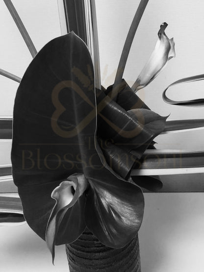 Attacher III Japanese Monochrome Artwork