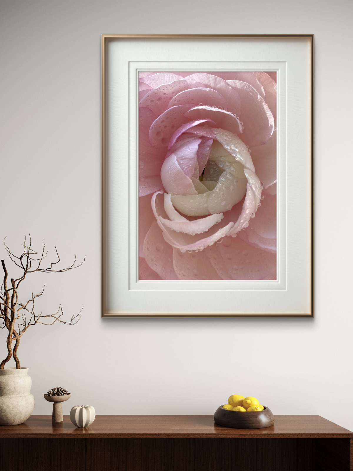 Pink Ranunculus Artwork