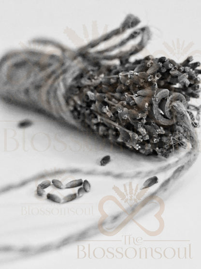 Black and white botanical floral artwork featuring a handcrafted bundle of dried French lavender and cinnamon stick, wrapped in rustic jute twine. Lavender seeds form a small heart beside the bundle, captured in a minimalist and emotionally expressive composition. Soft natural textures in a minimalist design photographed with emotional depth and quiet elegance.