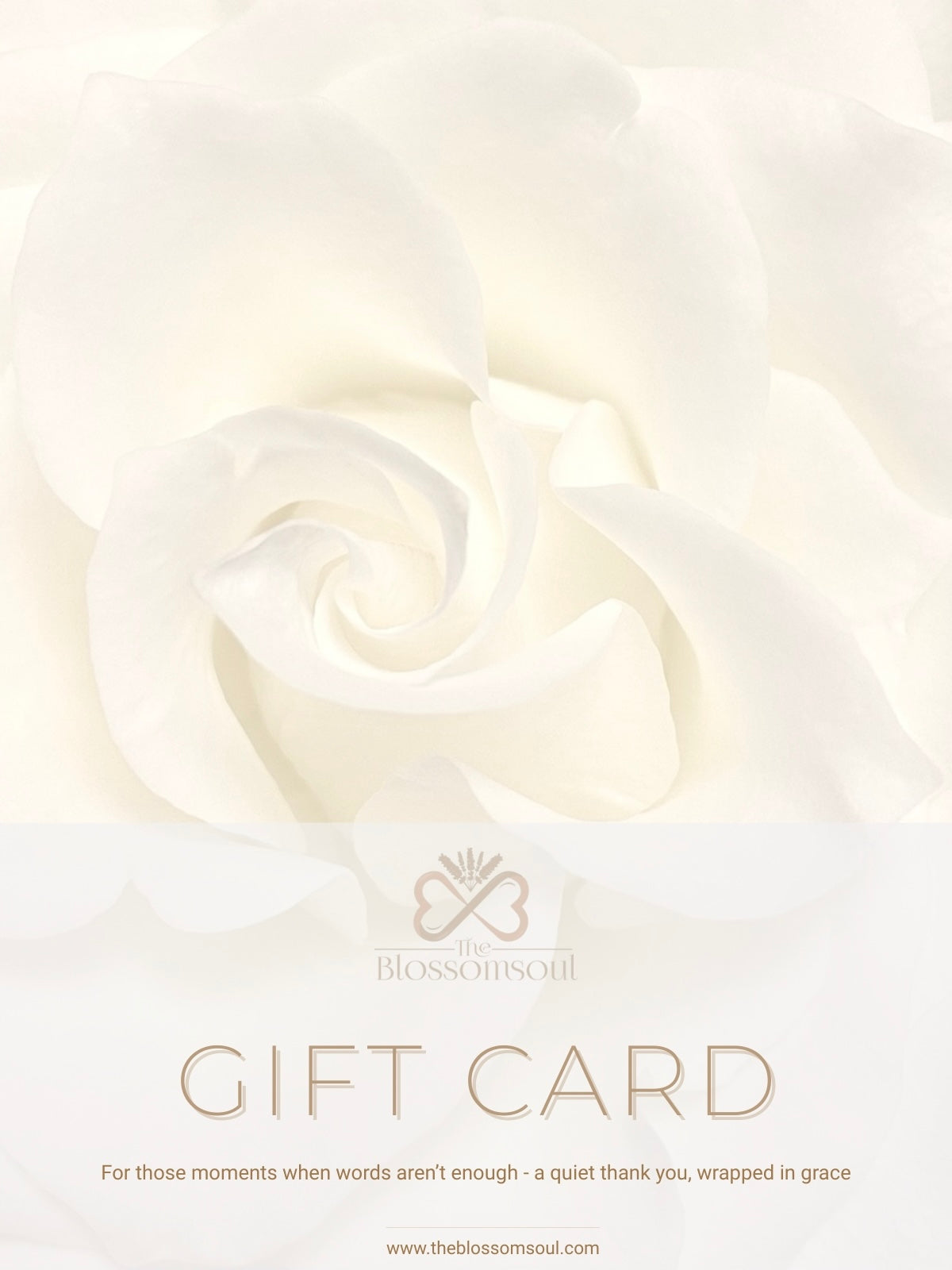 A high-resolution image of a gentle white rose serves as the backdrop for this digital gift card. The Gratitude Edition by TheBlossomSoul is an elegant expression of appreciation, combining floral softness with minimal, intentional design.