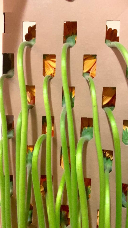 Orange Gerberas Artwork